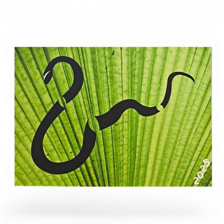 Small snake picture on green background